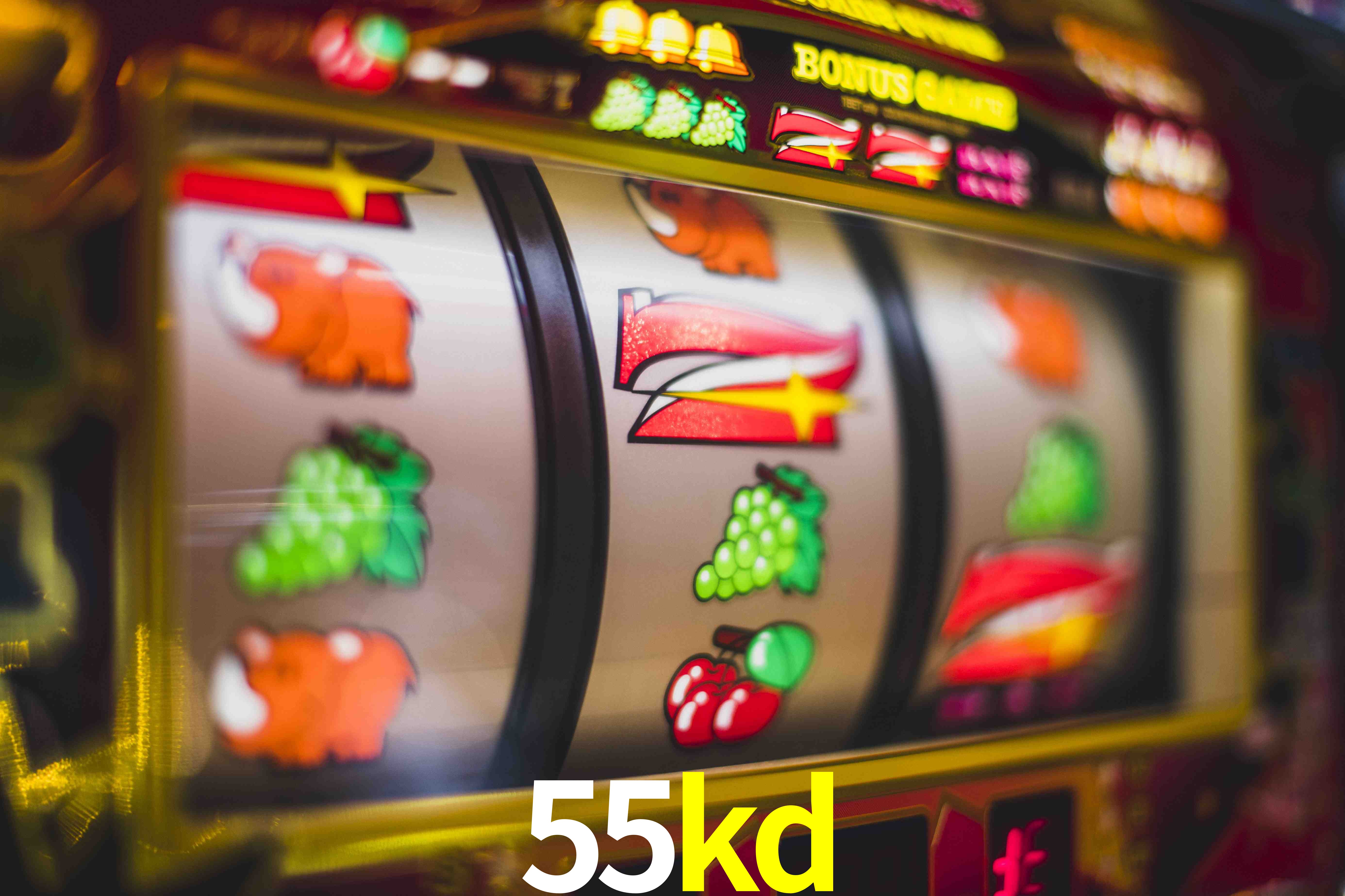 Sports Statistics 55kd